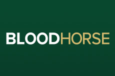 Blood horse magazine/website logo links to an AP article on the courts overturning the conviction of Susan Bala